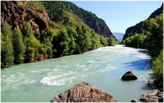 Оральды секс суреттері