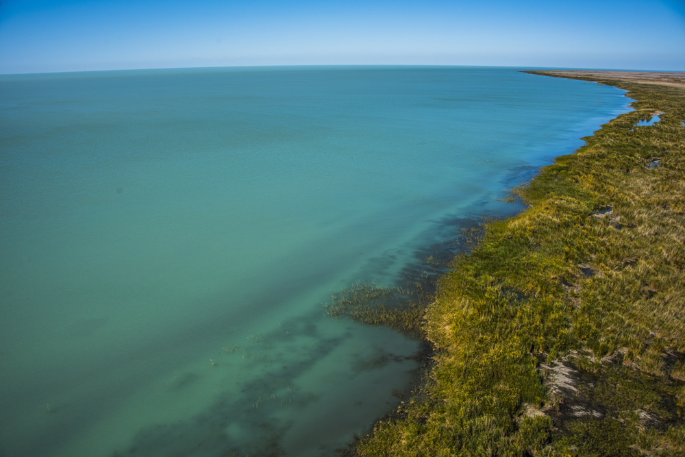 Балқаш көлі