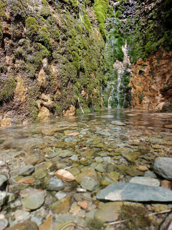 Тамшыбұлақ