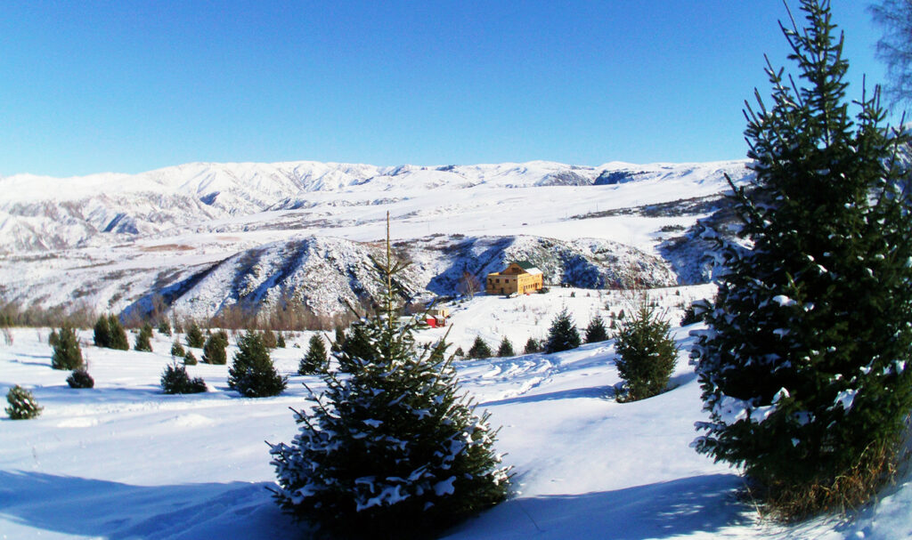 Текесу шатқалы